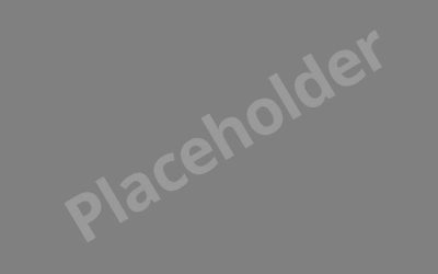 In memoriam: Ad Paulen